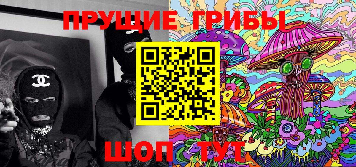 Дзержинск  Псилоцибиновые грибы Psilocybe  Вход с VPN  Галлюциногенные грибы прущие грибы 